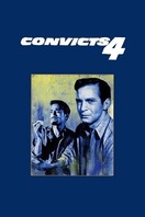 Poster of Convicts 4