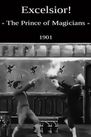 Poster of The Prince of Magicians