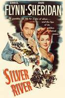Poster of Silver River