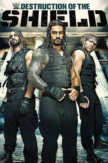 Poster of The Destruction of The Shield