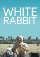 Poster of White Rabbit