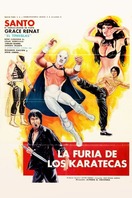 Poster of The Fury of the Karate Experts