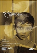 Poster of The White Dove