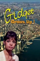 Poster of Gidget Grows Up