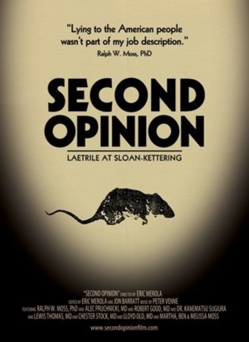 Poster of Second Opinion