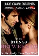 Poster of The Things Between Us