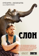 Poster of Elephant