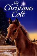 Poster of The Christmas Colt