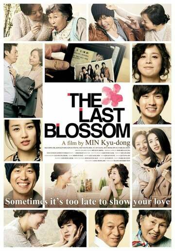 Poster of The Last Blossom