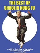 Poster of The Best of Shaolin Kung Fu