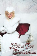 Poster of Home for Christmas