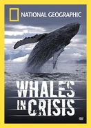 Poster of Whales in Crisis