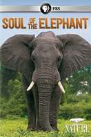Poster of Soul of the Elephant