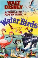 Poster of Water Birds
