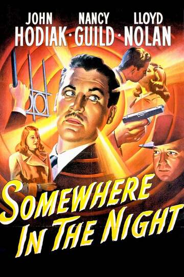 Poster of Somewhere in the Night