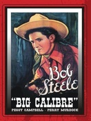 Poster of Big Calibre