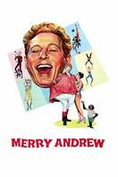 Poster of Merry Andrew
