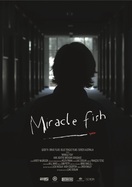 Poster of Miracle Fish