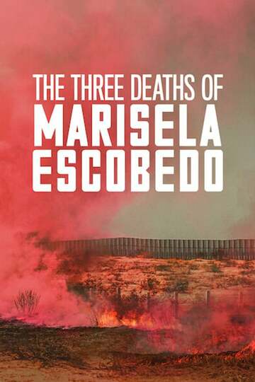 Poster of The Three Deaths of Marisela Escobedo