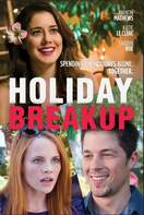 Poster of Holiday Breakup