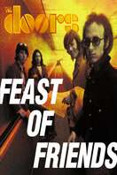 Poster of The Doors: Feast of Friends
