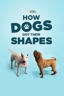 Poster of How Dogs Got Their Shapes