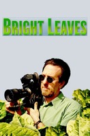 Poster of Bright Leaves