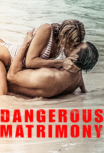 Poster of Dangerous Matrimony