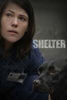 Poster of Shelter