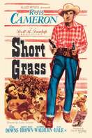 Poster of Short Grass