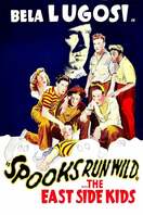 Poster of Spooks Run Wild
