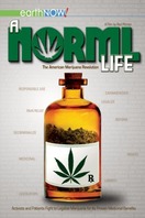 Poster of A Norml Life