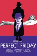 Poster of Perfect Friday