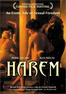 Poster of Last Harem