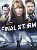 Poster of The Final Storm