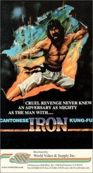 Poster of Cantonen Iron Kung Fu