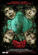 Poster of Haunted Forest