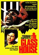 Poster of The Glass House
