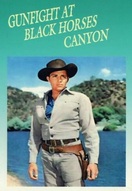 Poster of Gunfight at Black Horses Canyon