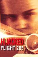 Poster of Hijacked: Flight 285