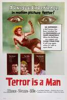 Poster of Terror Is a Man