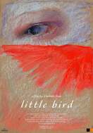 Poster of Little Bird
