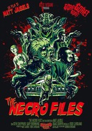 Poster of The Necro Files