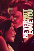 Poster of Never Not Love You