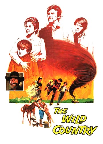 Poster of The Wild Country