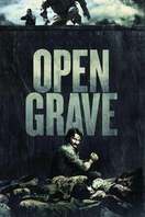 Poster of Open Grave