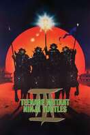 Poster of Teenage Mutant Ninja Turtles III