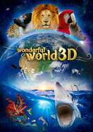 Poster of Wonderful World 3D