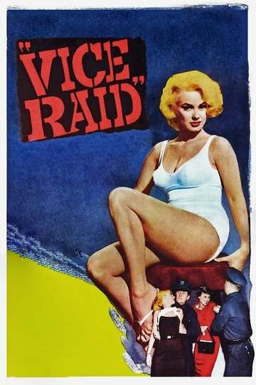 Poster of Vice Raid