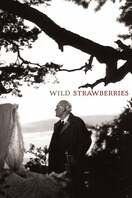 Poster of Wild Strawberries
